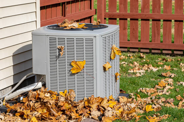 Best HVAC Tune-Up Services  in Coleman, MI